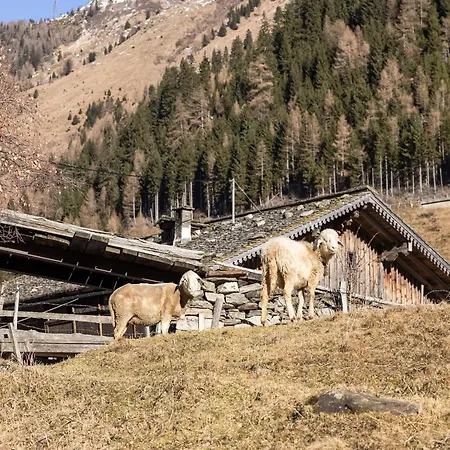 Elegant In A Converted Stable * Matrei in Osttirol